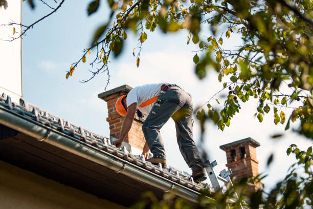 Best Commercial Roofing Services  in Grant, MI