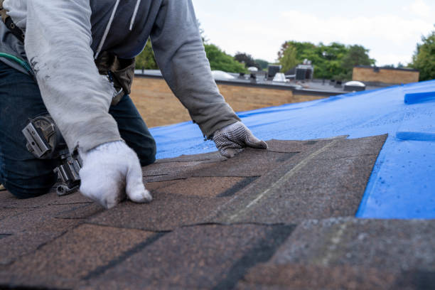 Professional Roofing Contractor in Grant, MI