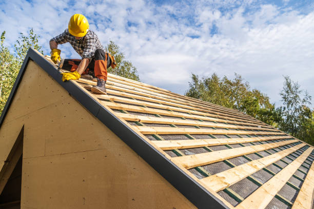 Best Roof Leak Repair  in Grant, MI