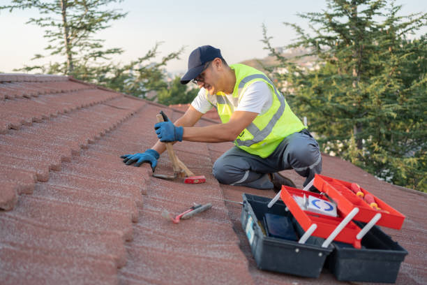 Best Metal Roofing Contractor  in Grant, MI