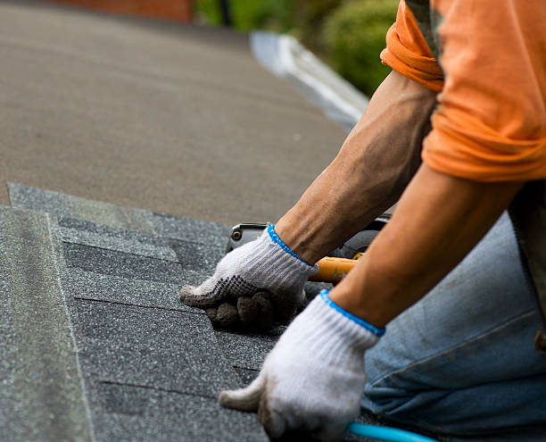 Professional Roofing Contractor in Grant, MI